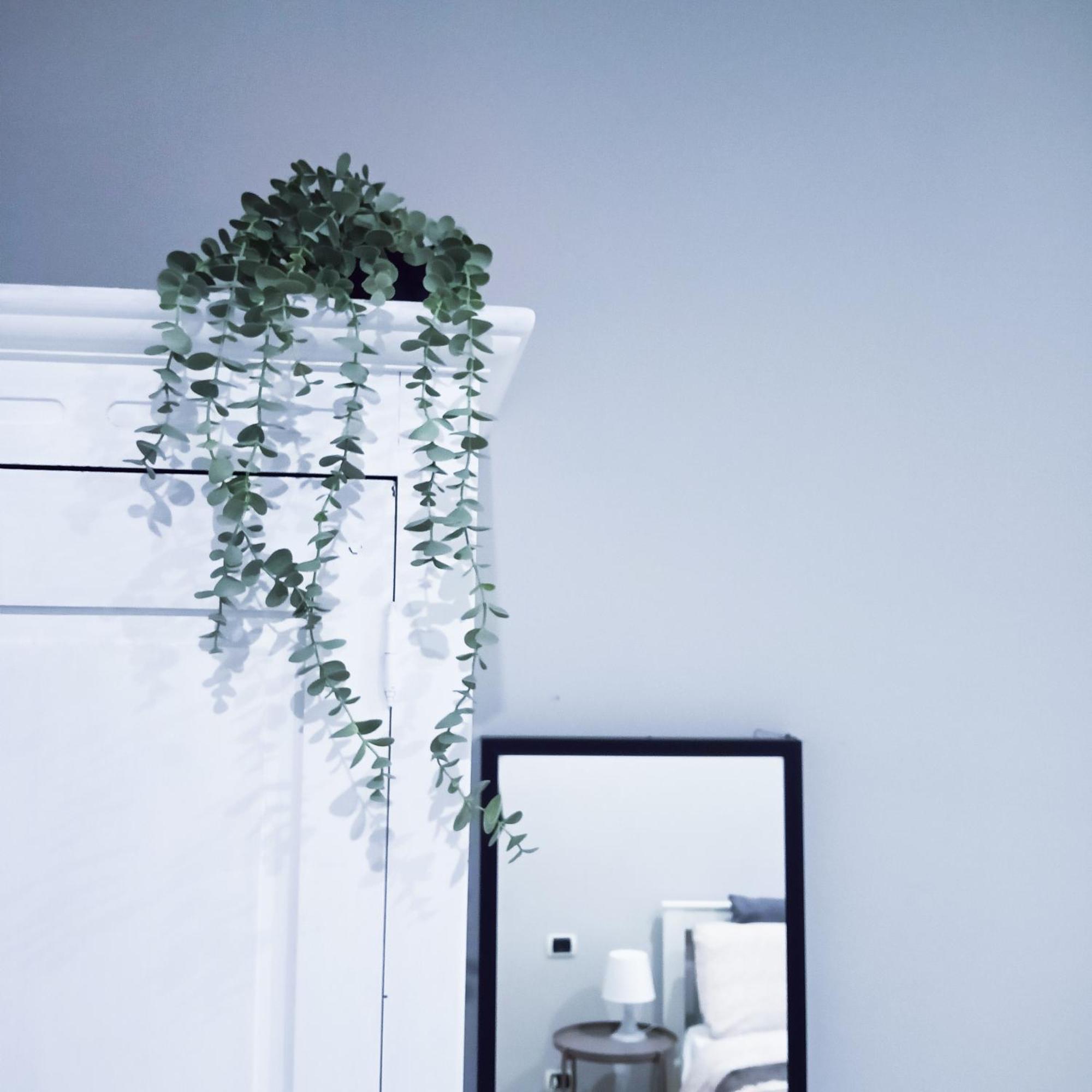 Candia Sweet Home Rome Bagian luar foto